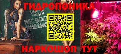 a pvp Обнинск