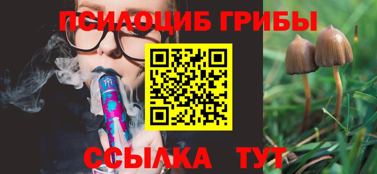 Галлюциногенные грибы ЛСД Углич
