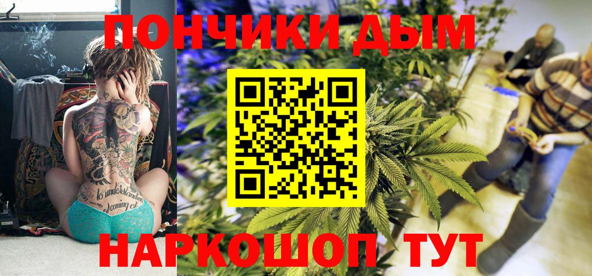 Бошки марихуана конопля  Конопля индика  Вход с VPN  Углич  Конопля план 